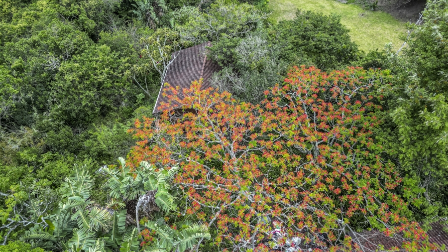 3 Bedroom Property for Sale in Beacon Bay North Eastern Cape